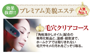 ベネフィーク 毛穴クリアエステ